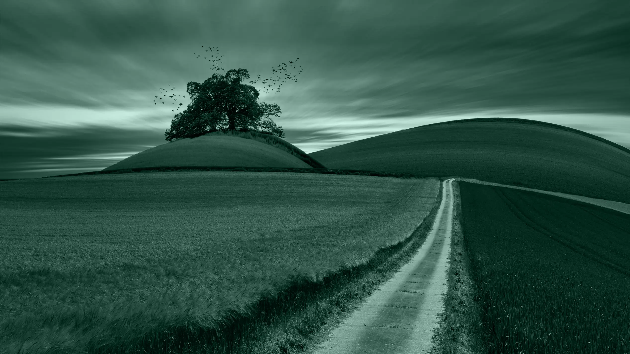 Onramp green landscape artwork with a tree beside a winding path